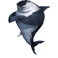the shark