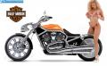 VirtualTuning Harley-Davidson V-Road '02 by alexus