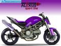 VirtualTuning DUCATI Monster by alexus