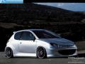 VirtualTuning PEUGEOT 206 by Tmotd