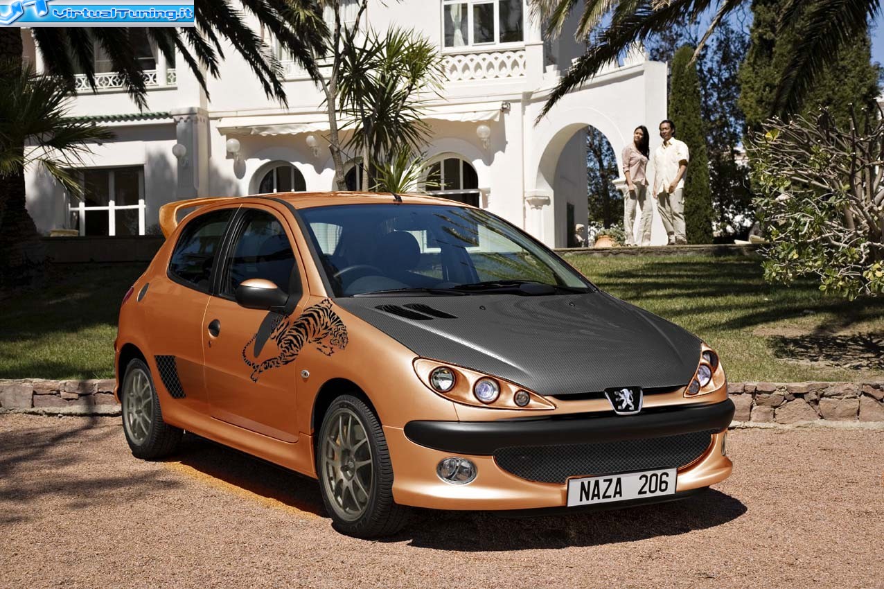 VirtualTuning PEUGEOT 206 by fedehorn