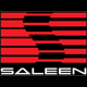 SALEEN