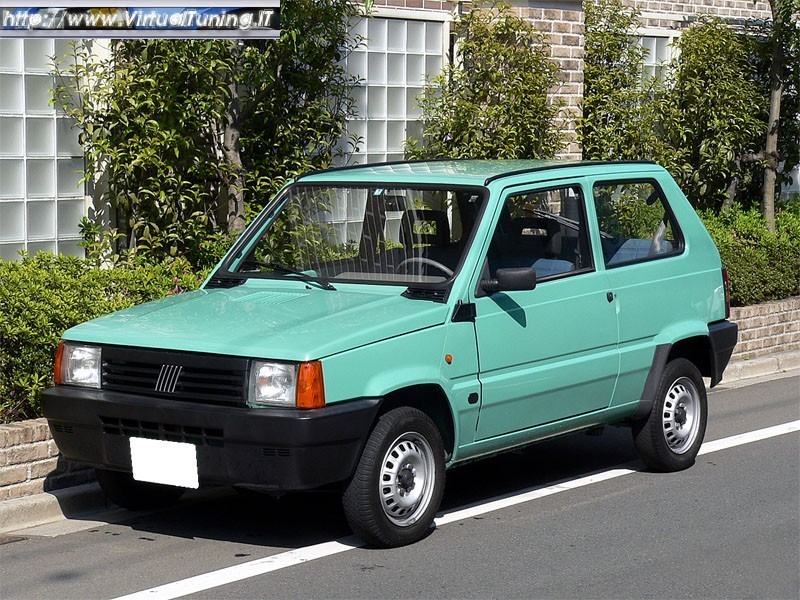 FIAT panda young