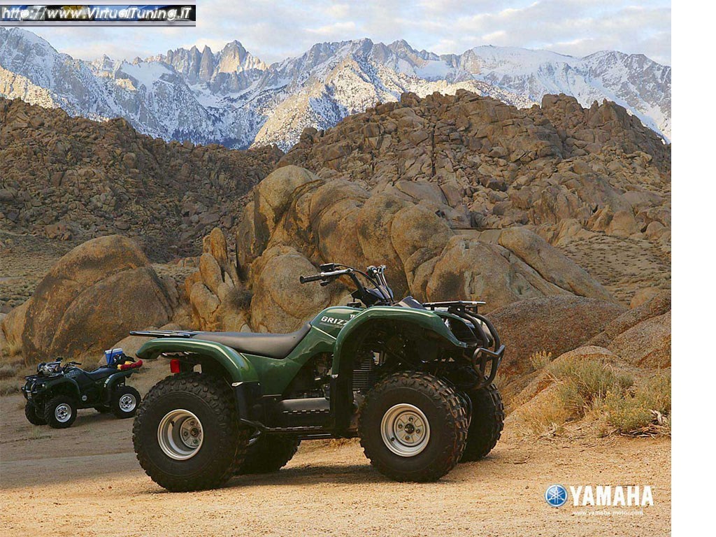 YAMAHA GRIZZLY 660