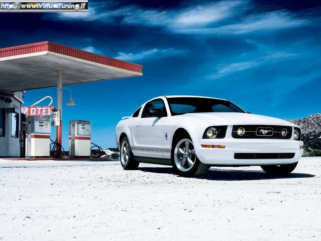 MUSTANG Mustang