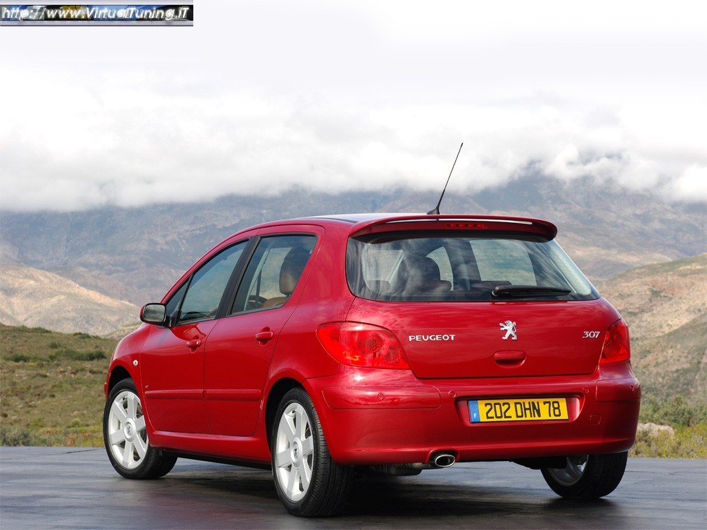 PEUGEOT 307