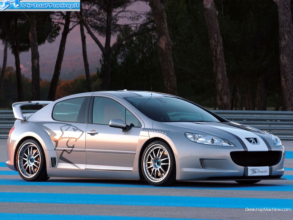 PEUGEOT 407 silhouette
