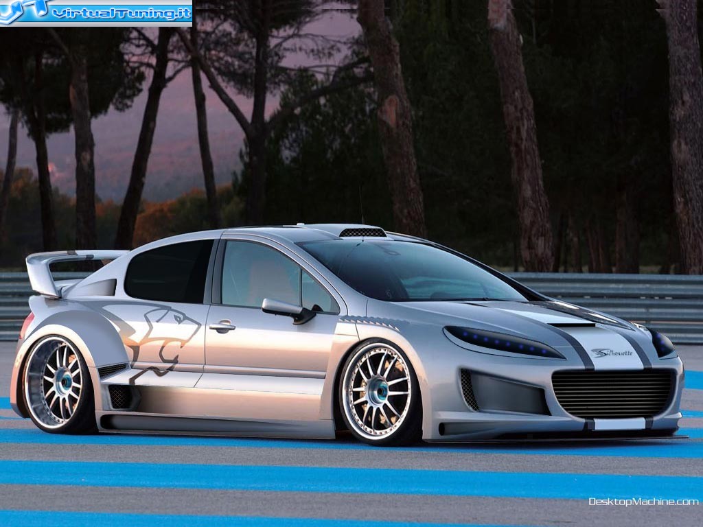 VirtualTuning PEUGEOT 407 silhouette by 
