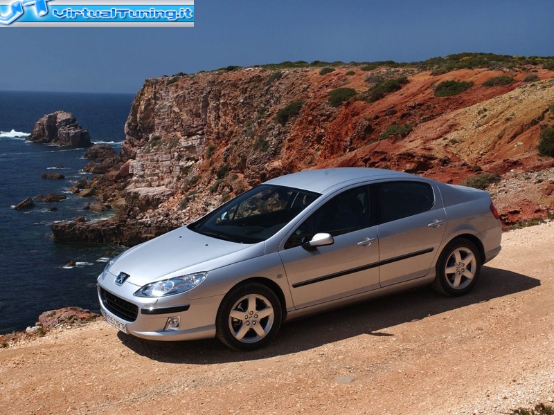 PEUGEOT 407 Silver King