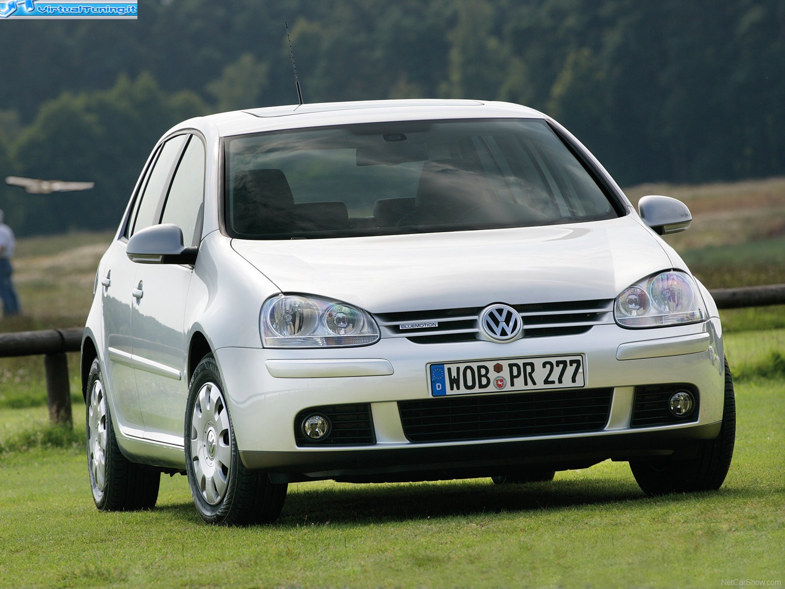 VOLKSWAGEN Golf Bluemotion