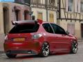 VirtualTuning PEUGEOT 206 by joegraphic
