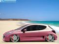VirtualTuning PEUGEOT 207 by ste opc