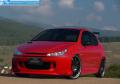 VirtualTuning PEUGEOT 206 by BX TGN