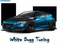 VirtualTuning HONDA CR-Z by WhiteDoggTuning