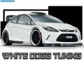 VirtualTuning FORD Fiesta by WhiteDoggTuning