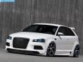 VirtualTuning AUDI s3 by david999