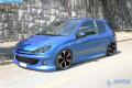 VirtualTuning PEUGEOT 206 by david999